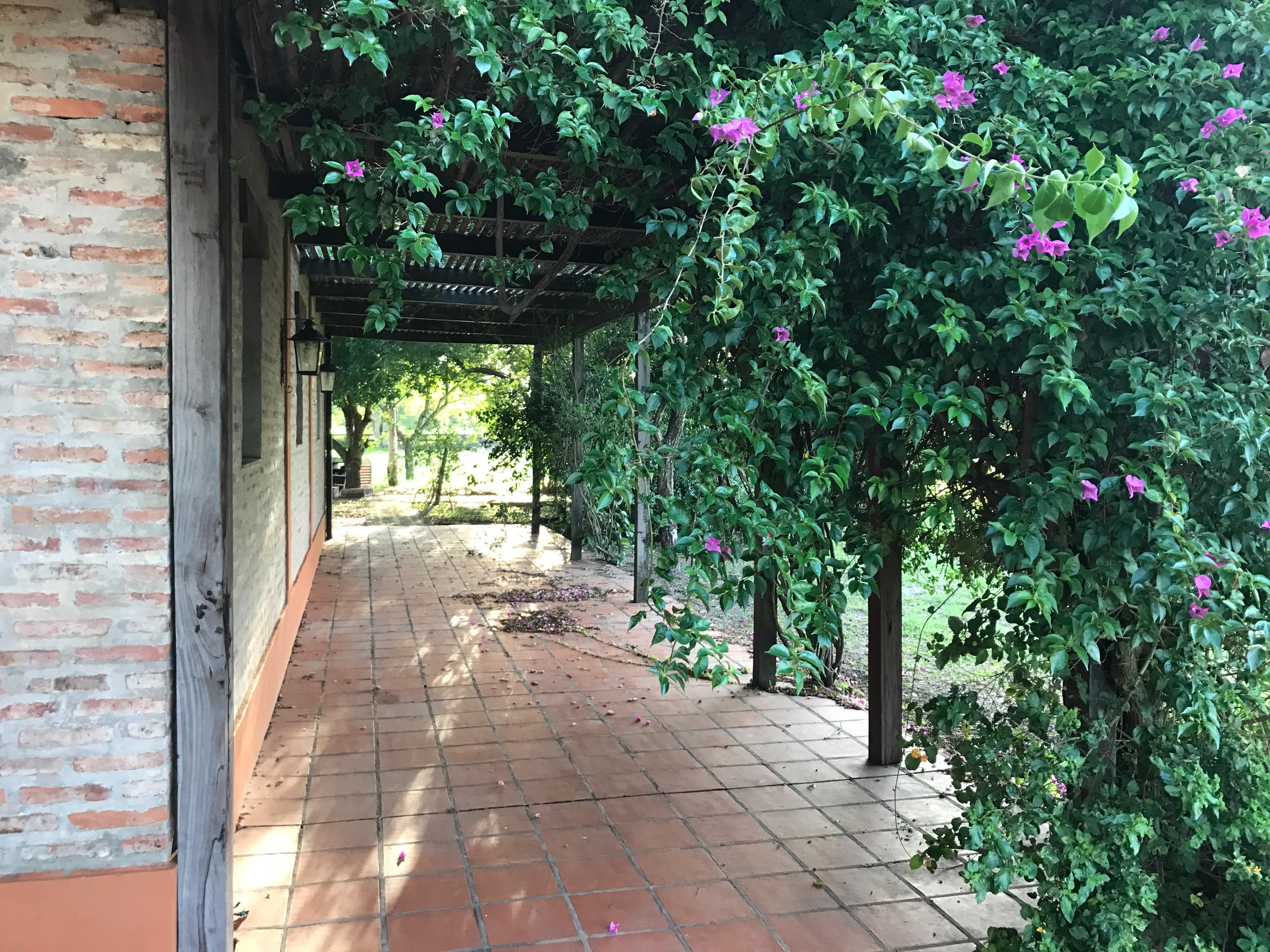 El Yarará - Imagen